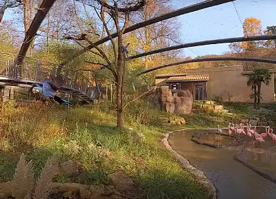 Vorschauansicht aus der Aralandia Voliere des Zoo Wuppertal