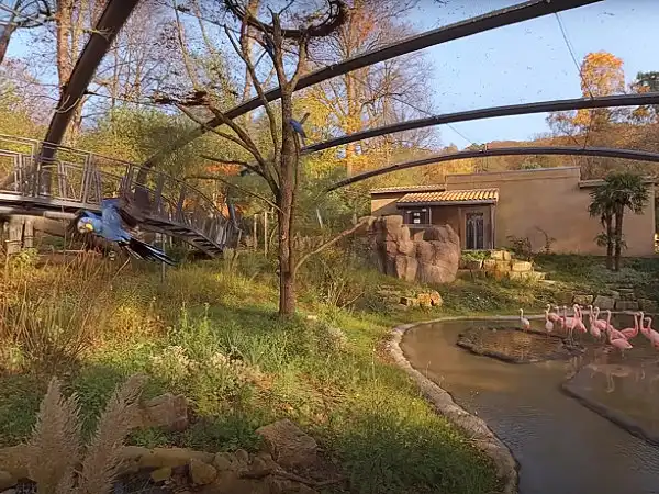 Vorschauansicht aus der Aralandia Voliere des Zoo Wuppertal